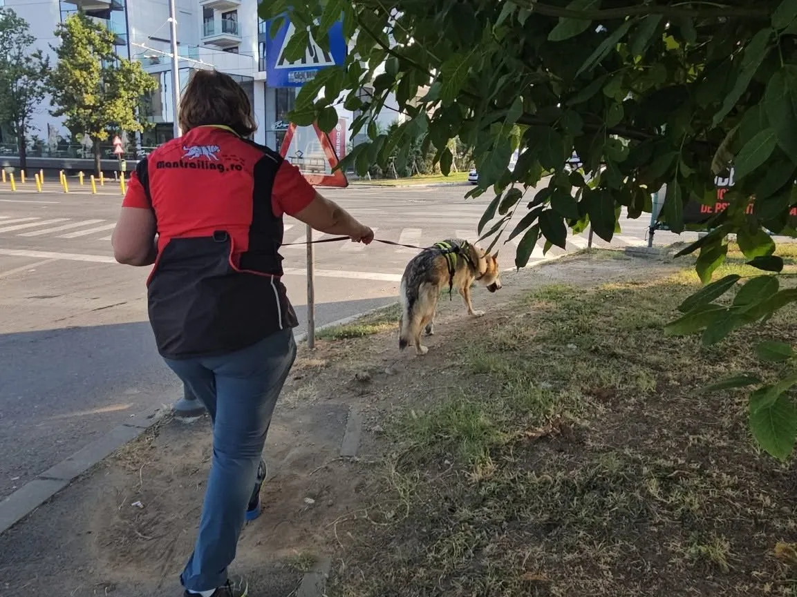 Mantrailing România